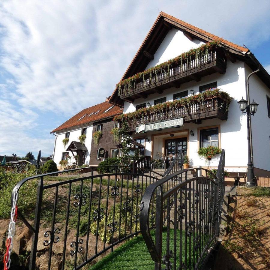 Hotel-Pension Flechsig Hartmannsdorf Exterior foto